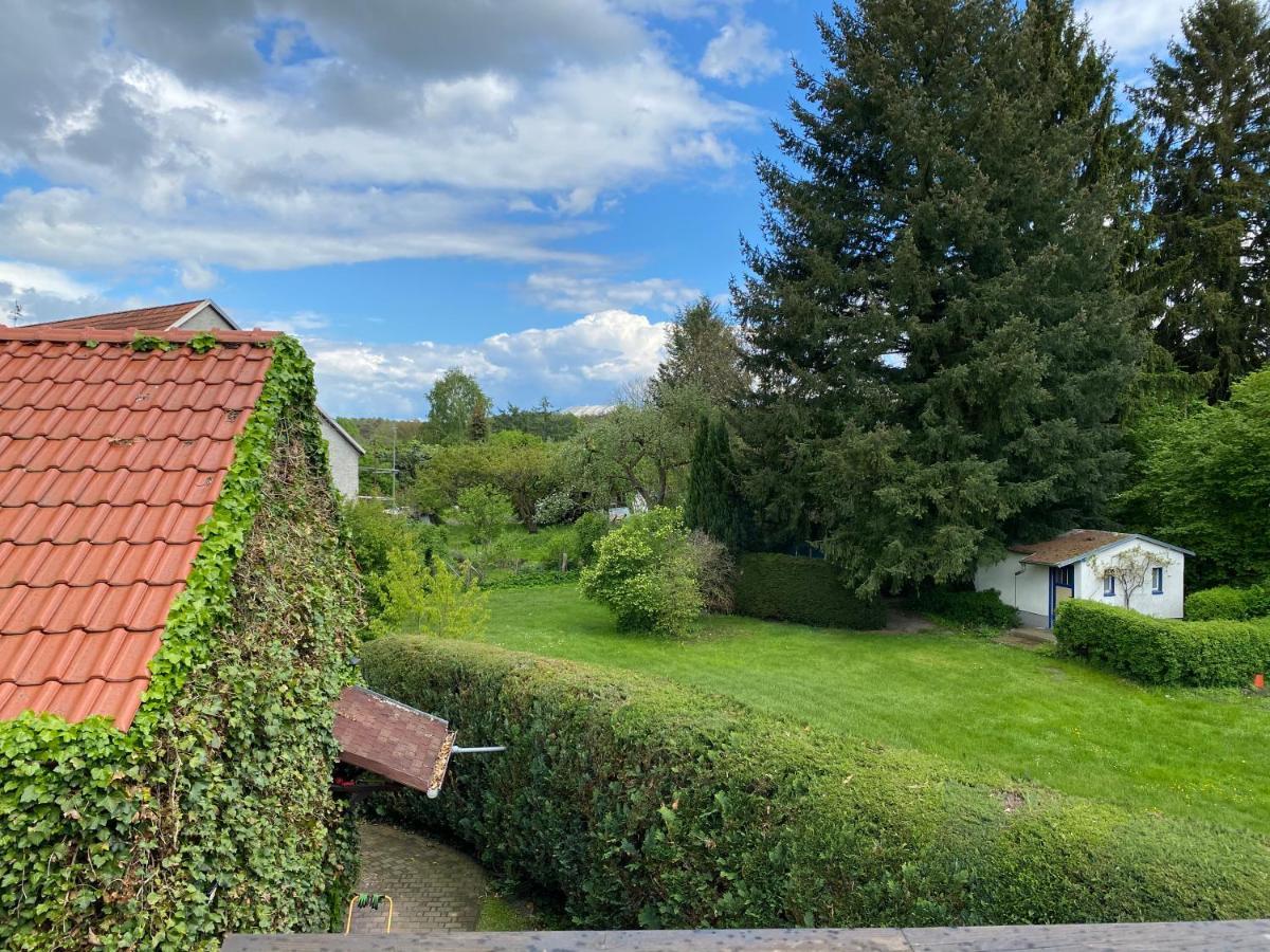 Zum Schloss Halbe